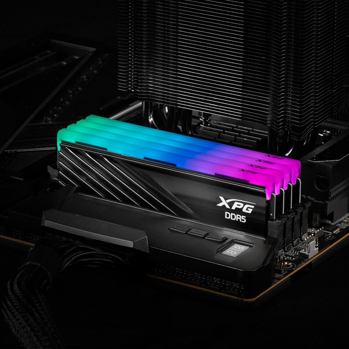 Μνήμη RAM Adata 5U6000C3016GDTLABRBK 32 GB DDR5 6000 MHz cl30